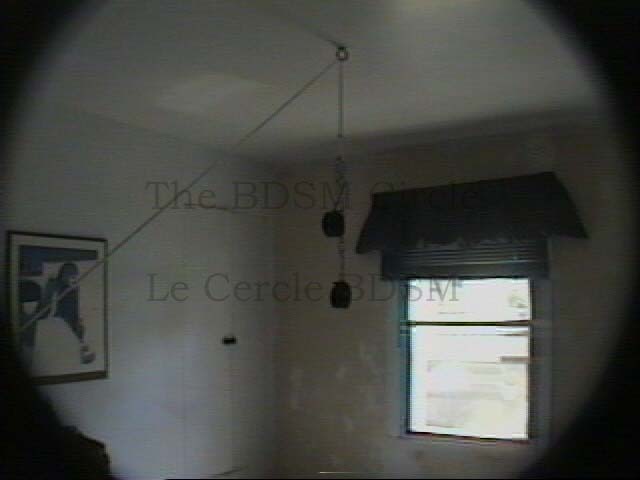 Picture of the ceiling of the room with its removable hook